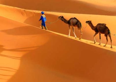 camel-trekking-in-the-desert