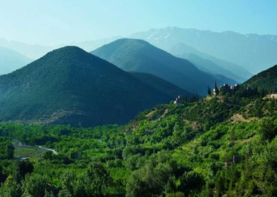 Asni-town