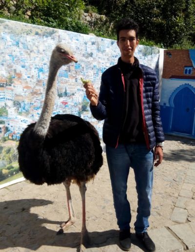the moroccan trips 1