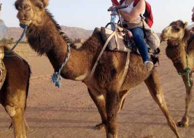 the moroccan trips 14